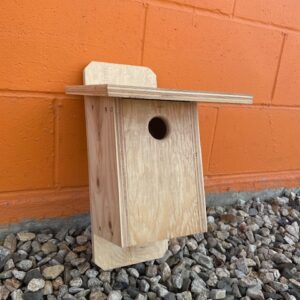 Bird House