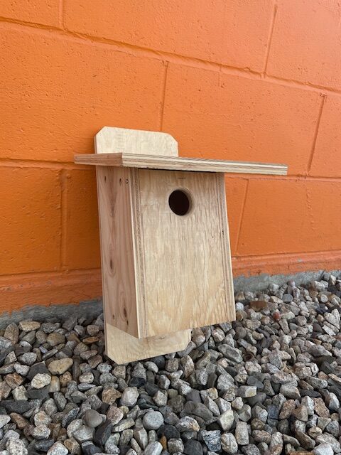 Bird House